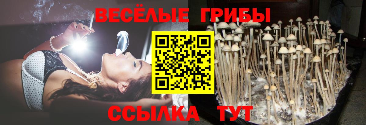 Галлюциногенные грибы Magic Shrooms Белгород